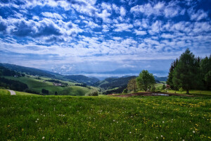 nuvens, campo, flores, Relva, casa, estrada, o céu, vale