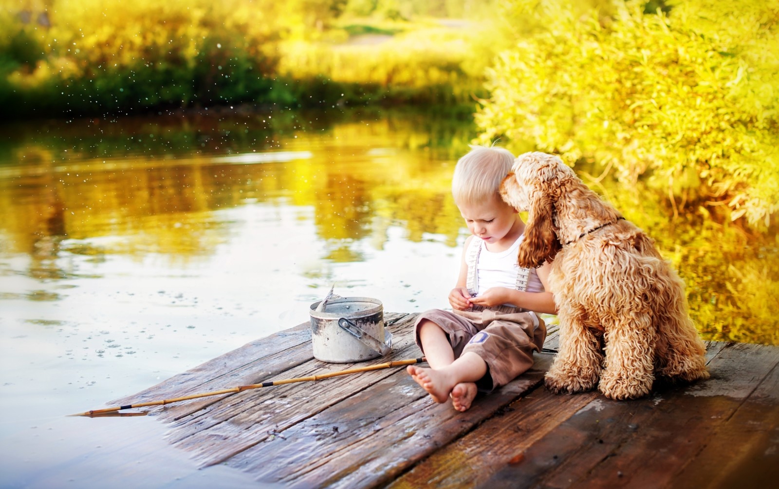 dog, summer, river, water, rod, friends, boy, fishing