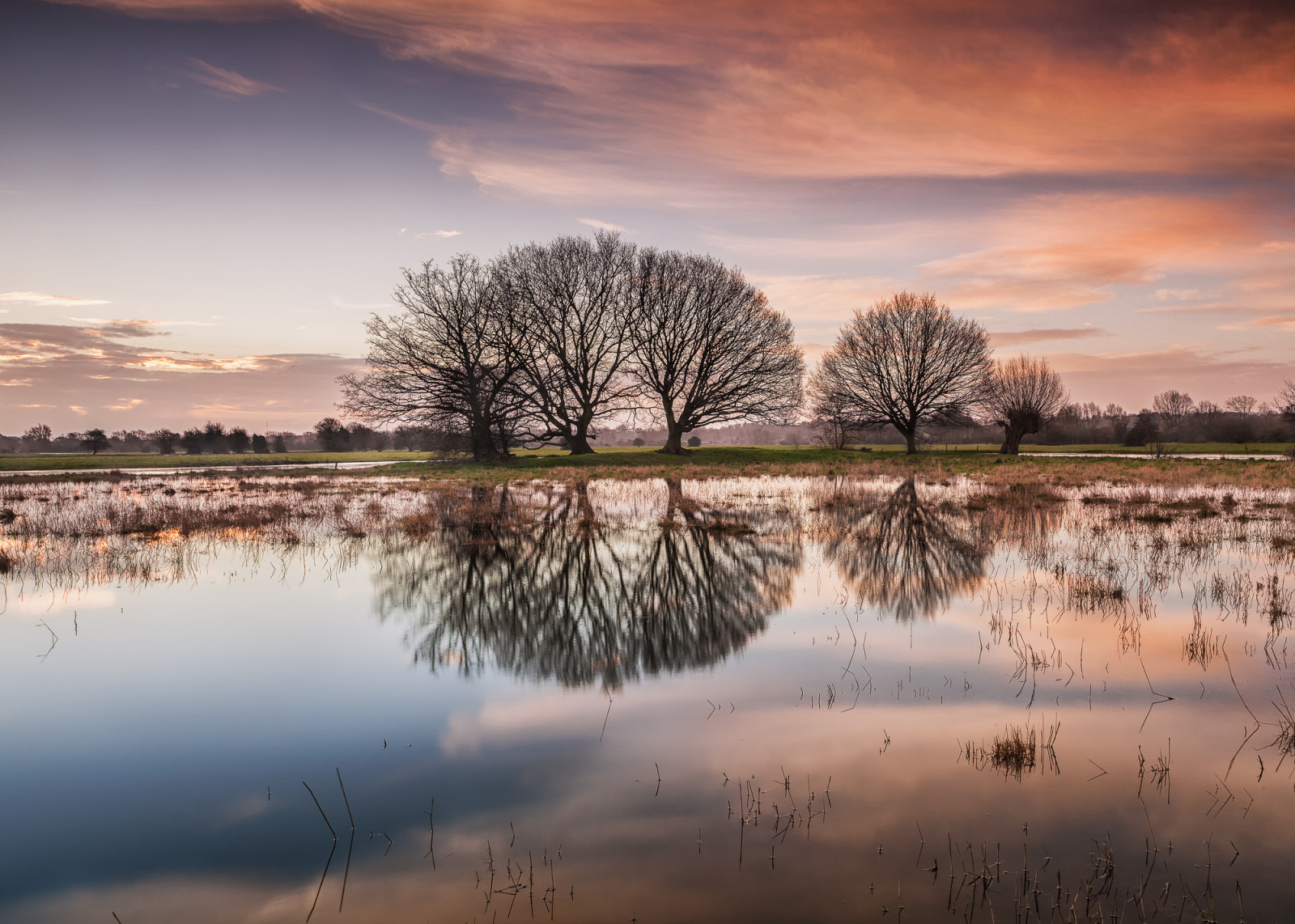 lago, riflessione, alberi, alba