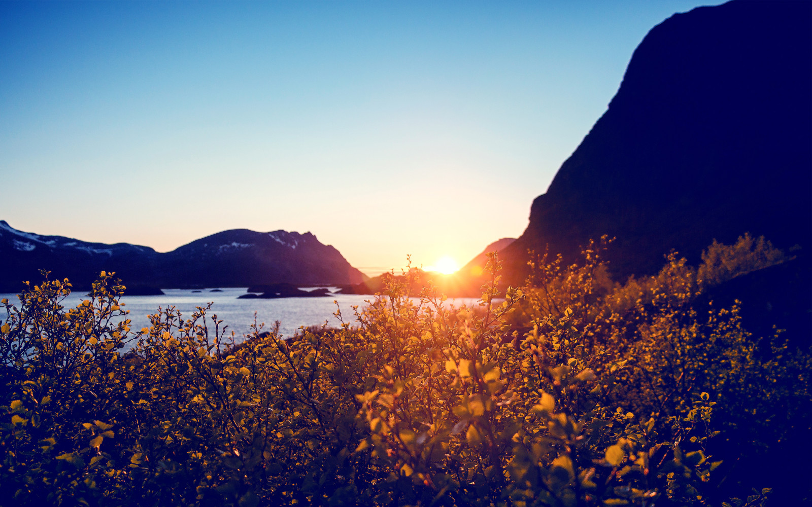 meer, zonsondergang, bloemen, bergen, helder, de zon, de bosjes