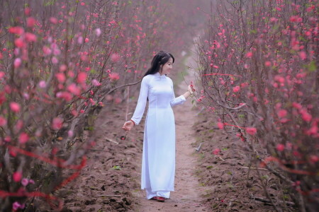 asiatique, Jardin, fille