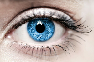 blauw, oog, iris, Vrouw