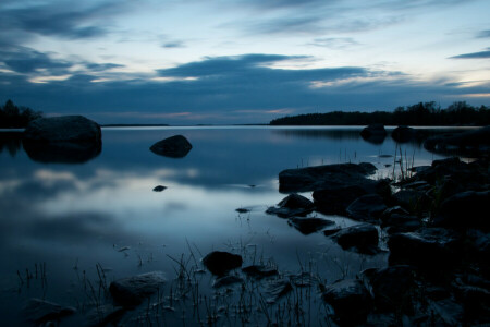 bukt, skog, stenar, skymning