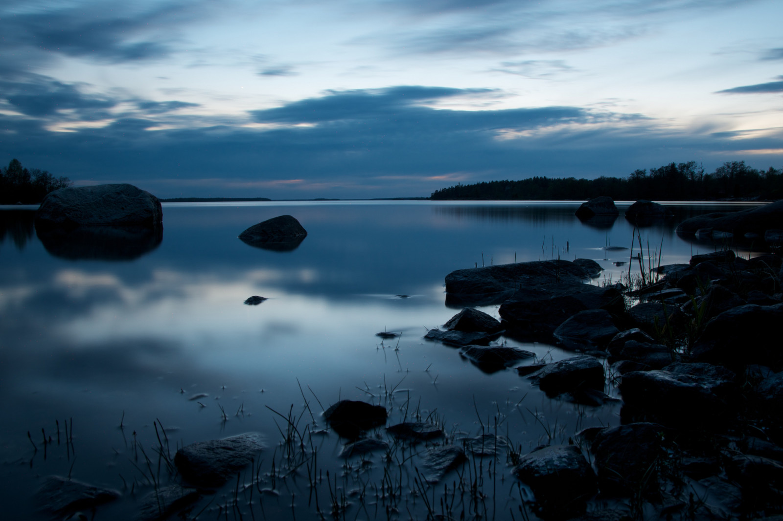 Skov, Bugt, sten, tusmørke