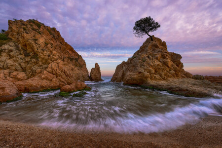 strand, klipper, hav, Spanien, træ