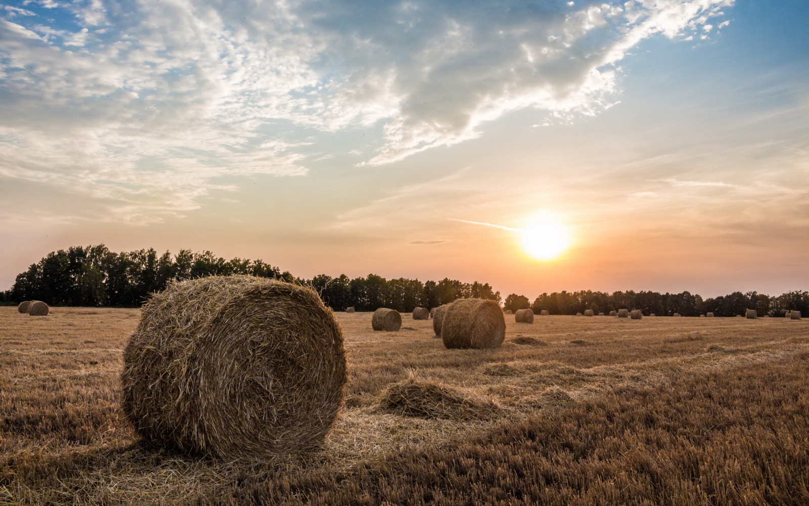 sunset, field, hay