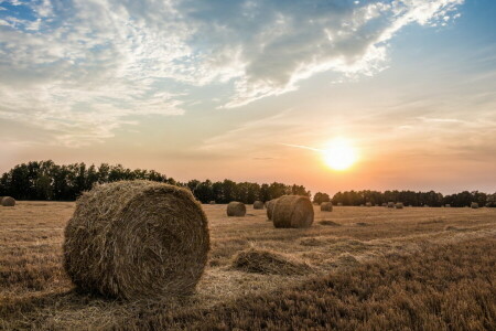 veld-, hooi, zonsondergang