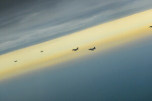 aircraft, flying, Typhoon