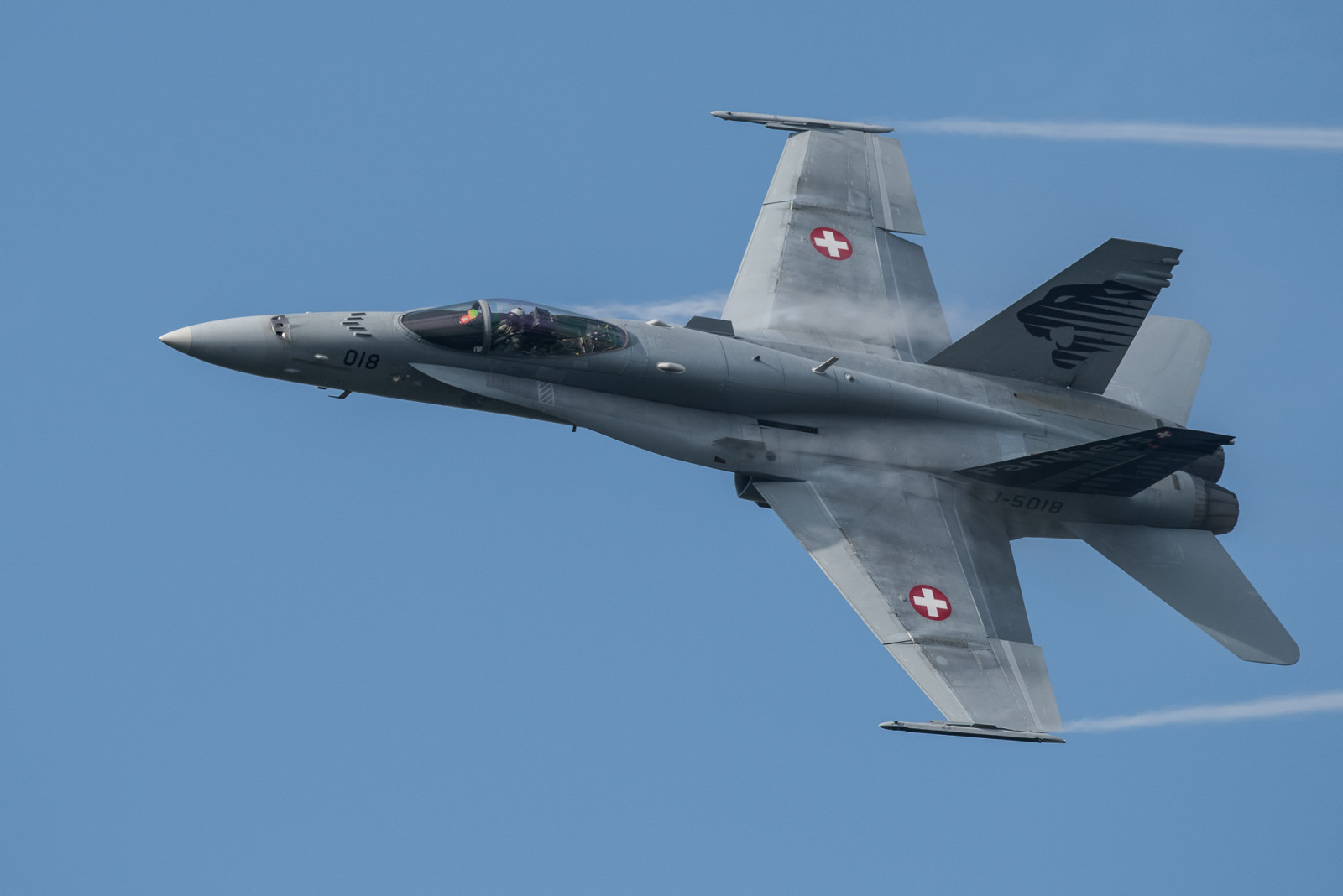 Harcos, Lódarázs, Többcélú, CF-18