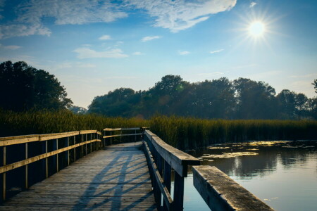 Bridge, lake, landscape