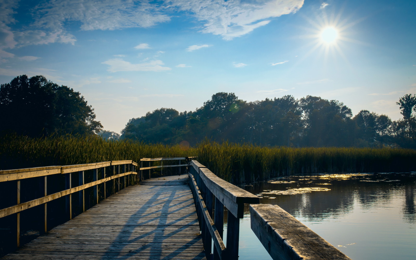 lake, landscape, Bridge