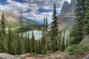 des nuages, Lac, montagnes, Le ciel, des arbres