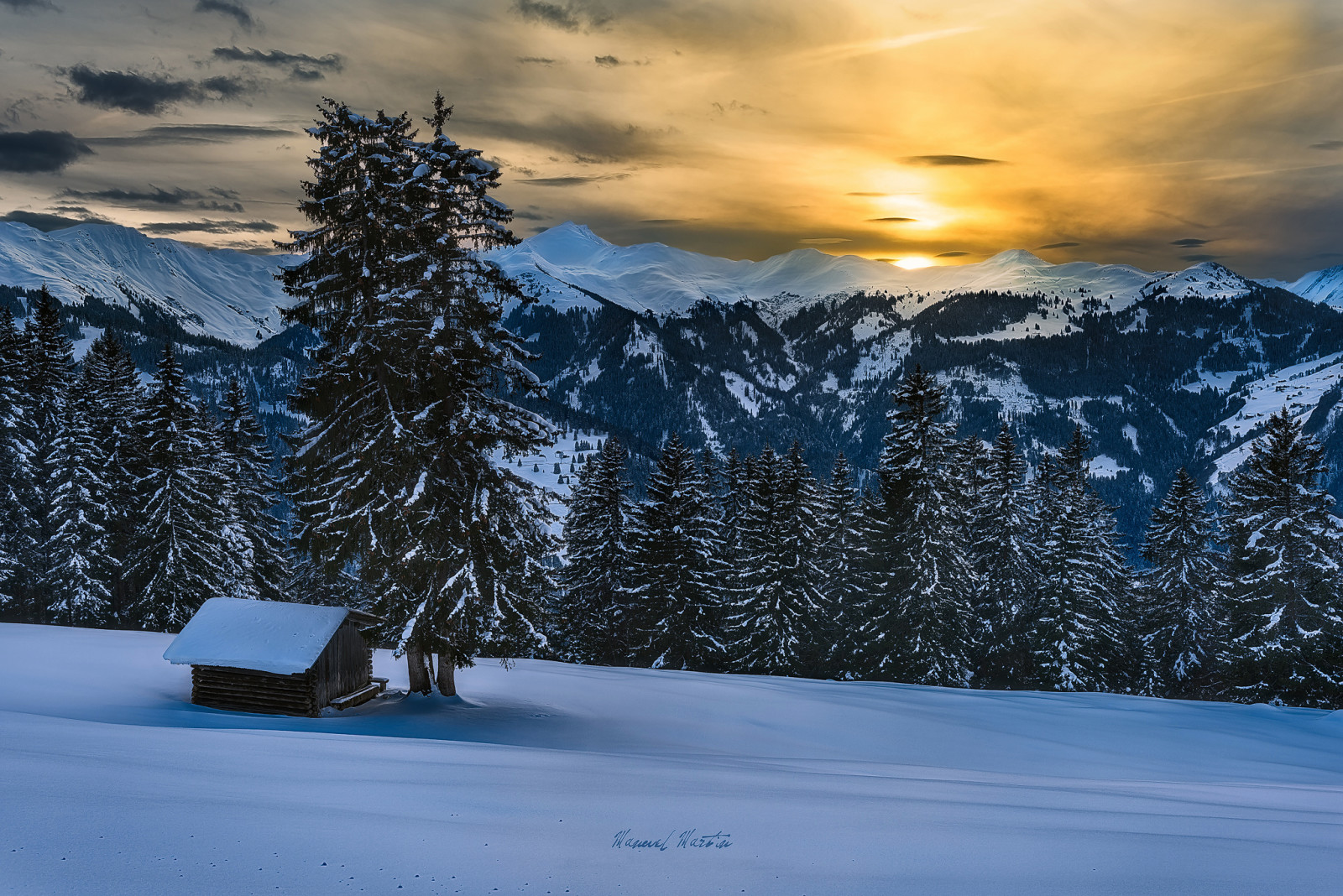 neige, forêt, hiver, montagnes, Alpes