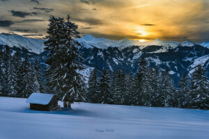 Alpes, bosque, montañas, nieve, invierno