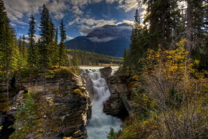 Woud, bergen, natuur, rivier-, bomen, waterval