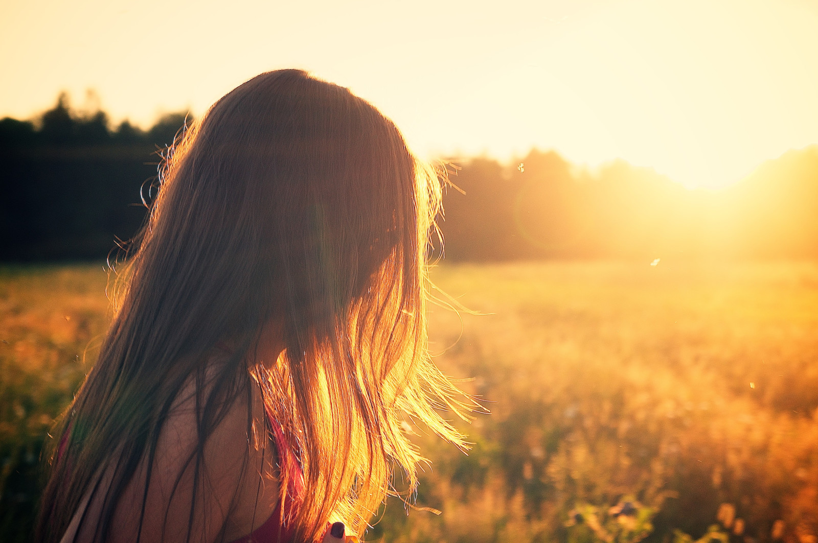 été, fille, champ, le soleil