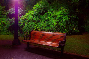 bench, lantern, light, the bushes, the evening, trees