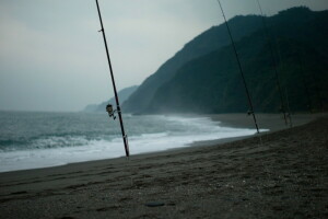 fishing, fishing rods, sea