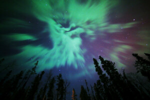 Nordlicht, Natur, Nordlichter, Sterne