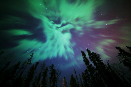 aurora borealis, nature, Northern Lights, stars