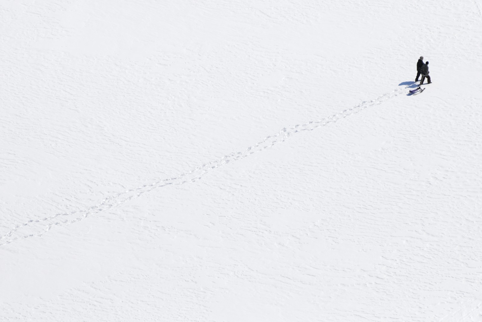 snow, field, people