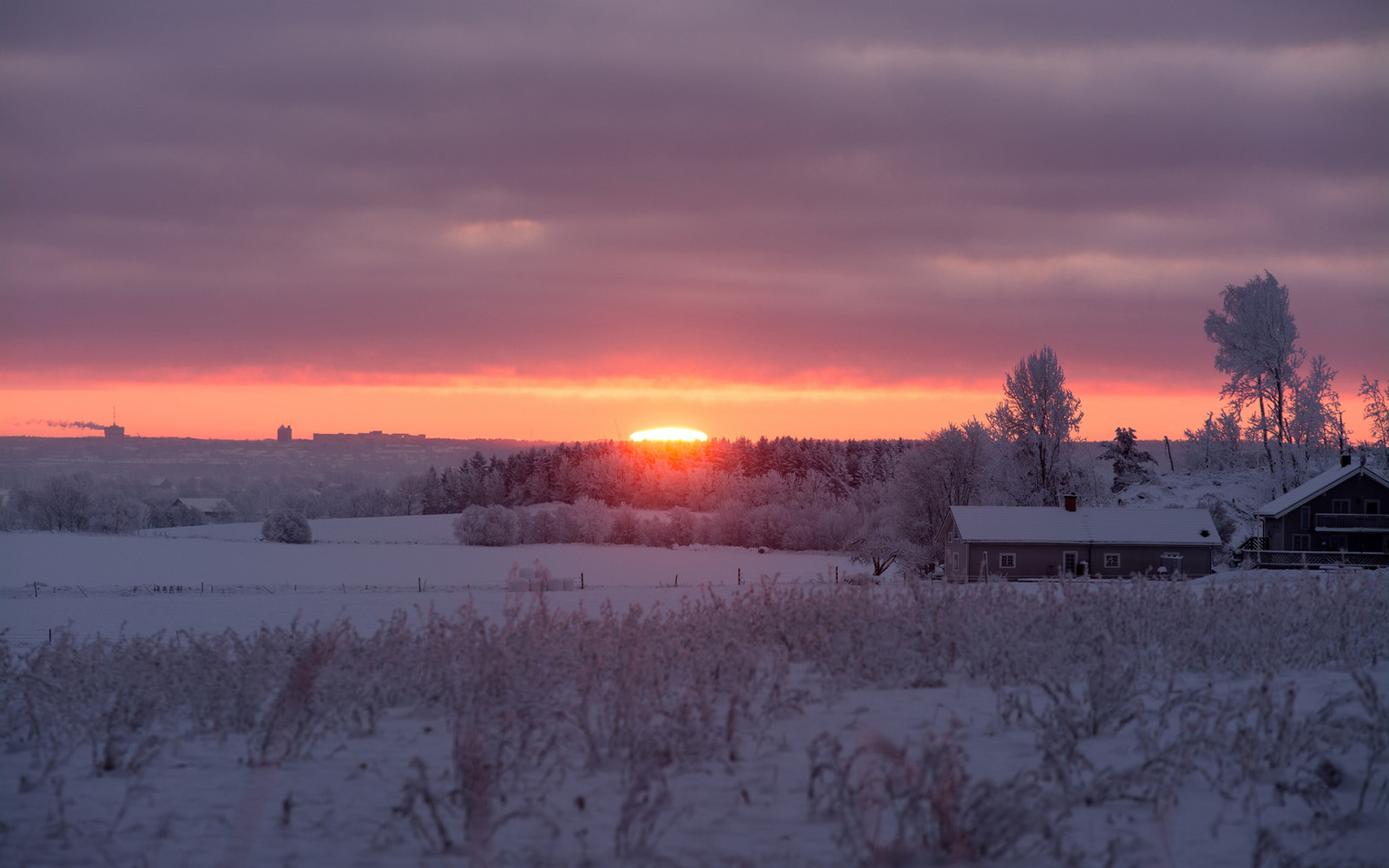 sneeuw, winter, ochtend-, zonsopkomst