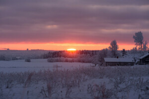 Matin, neige, lever du soleil, hiver