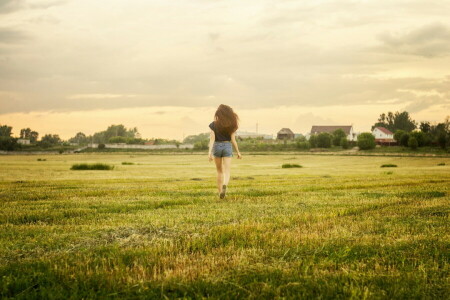 campo, corrida, a noite