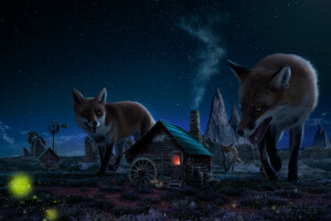 figure, Fox, house, night