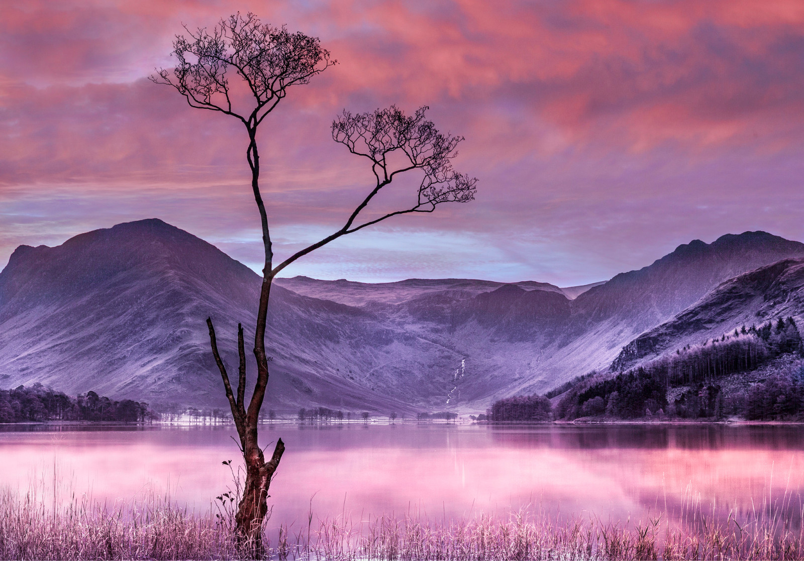 tree, the sky, lake, clouds, mountains