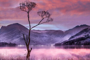 clouds, lake, mountains, the sky, tree