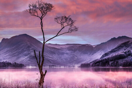 nubes, lago, montañas, el cielo, árbol