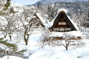 Gokayama, casa, Japão, Shirakawa-go, neve, inverno