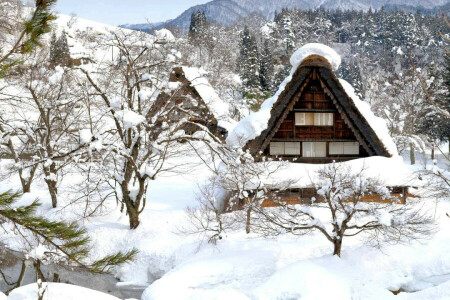 Gokayama, house, Japan, Shirakawa-go, snow, winter