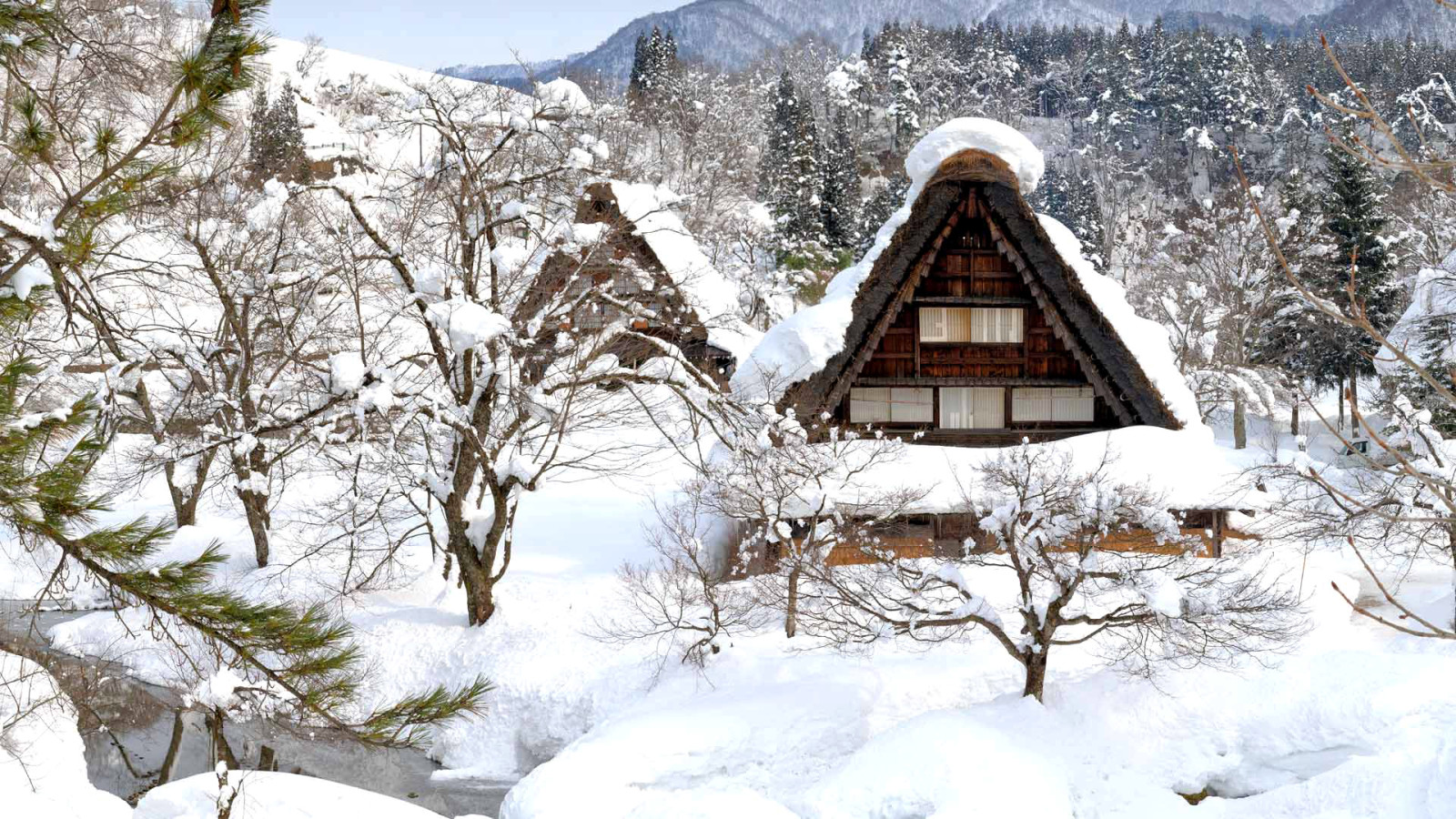 sne, hus, vinter, Japan, Shirakawa-go, Gokayama