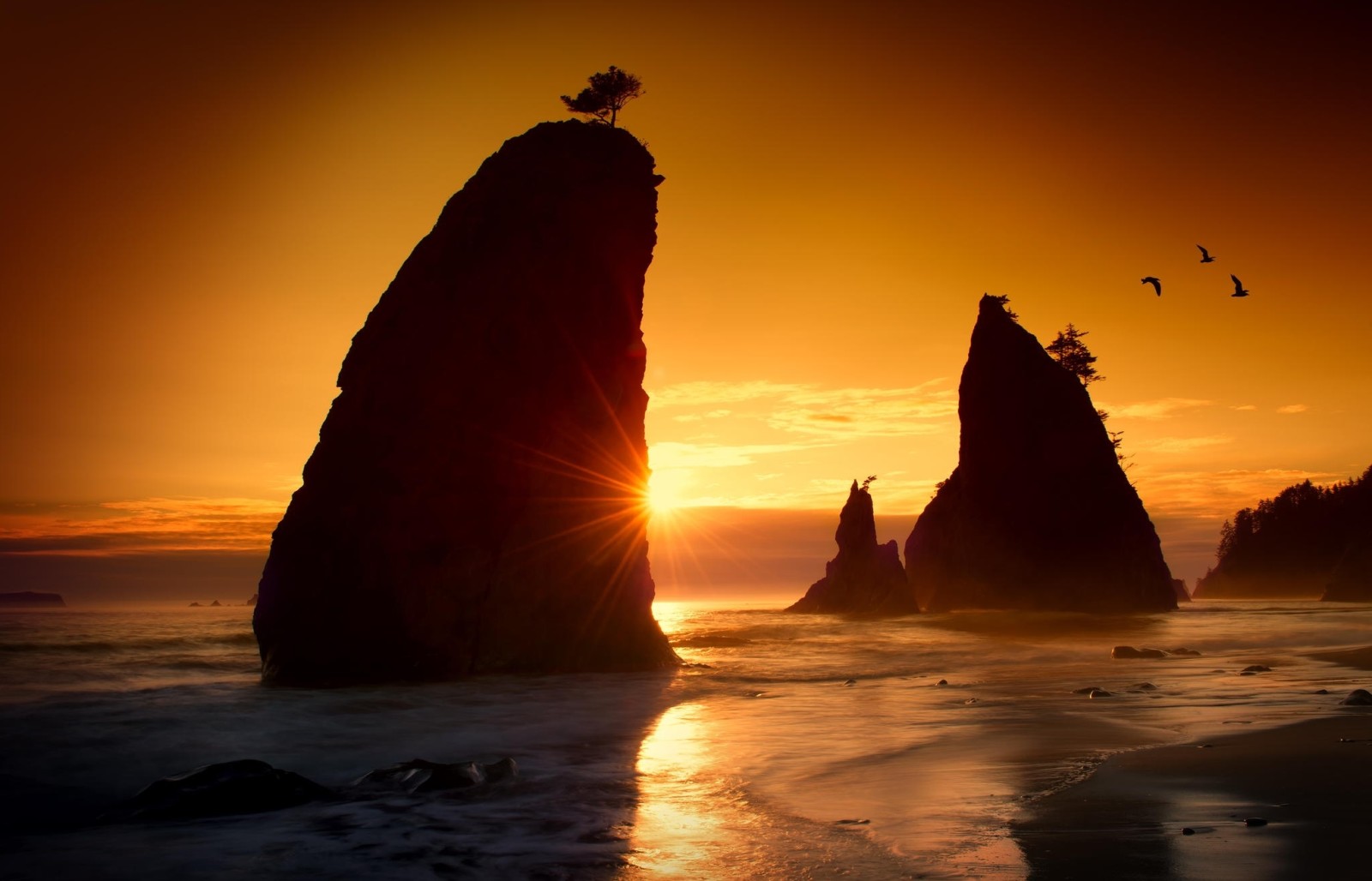 apuntalar, playa, El océano, amanecer, rocas