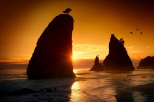 playa, amanecer, rocas, apuntalar, El océano