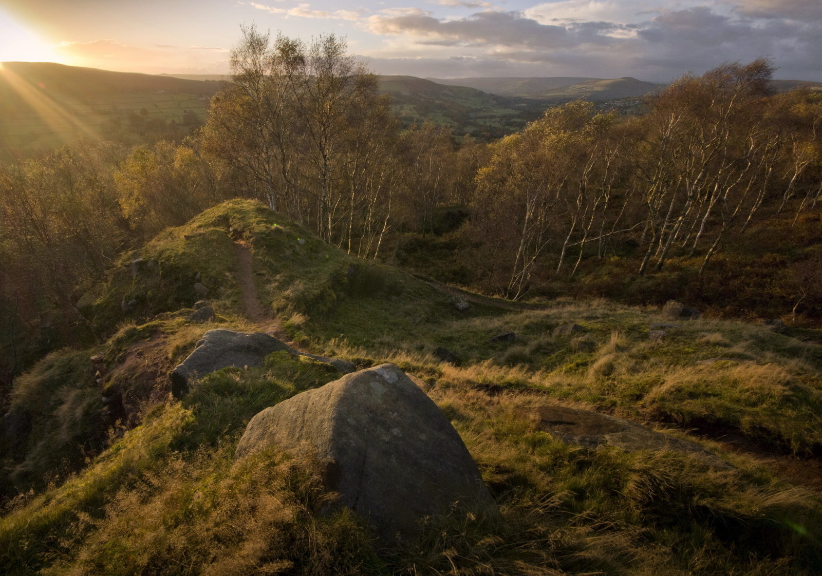 nature, landscape, morning