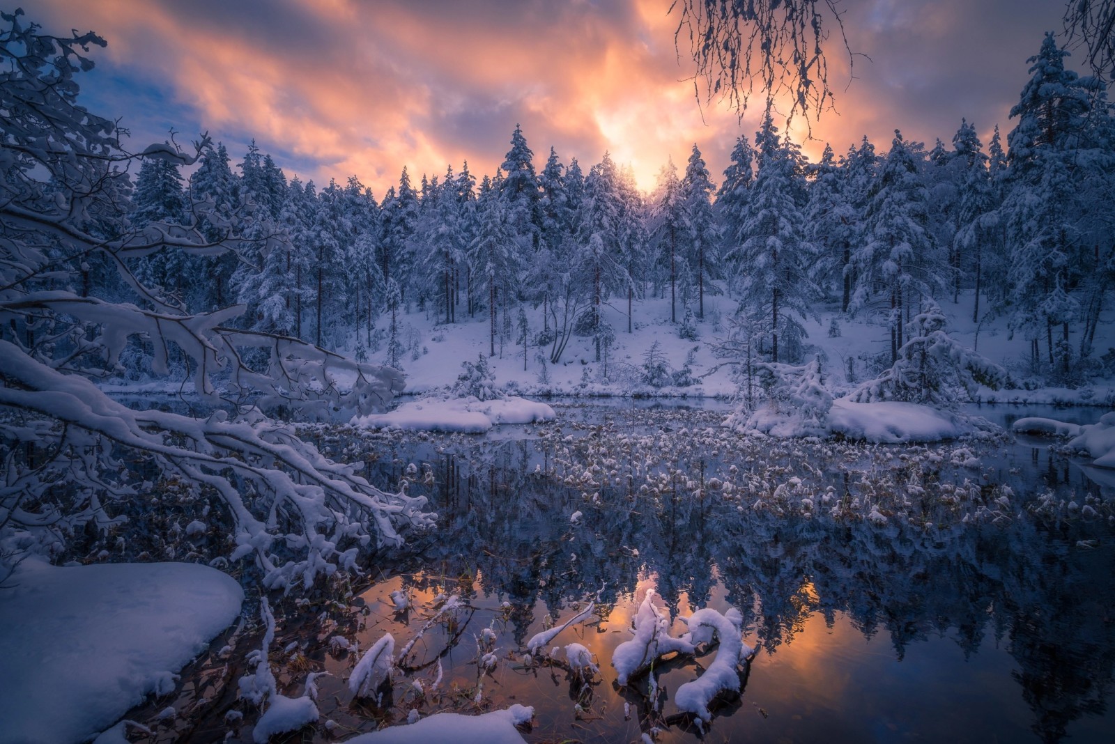 sne, natur, flod, vinter