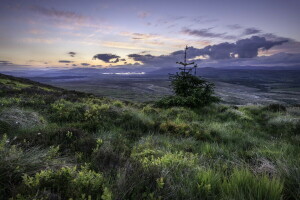 champ, paysage, la nature, Le ciel