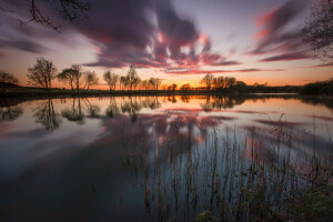 clouds, glow, lake, the evening, the sky, trees