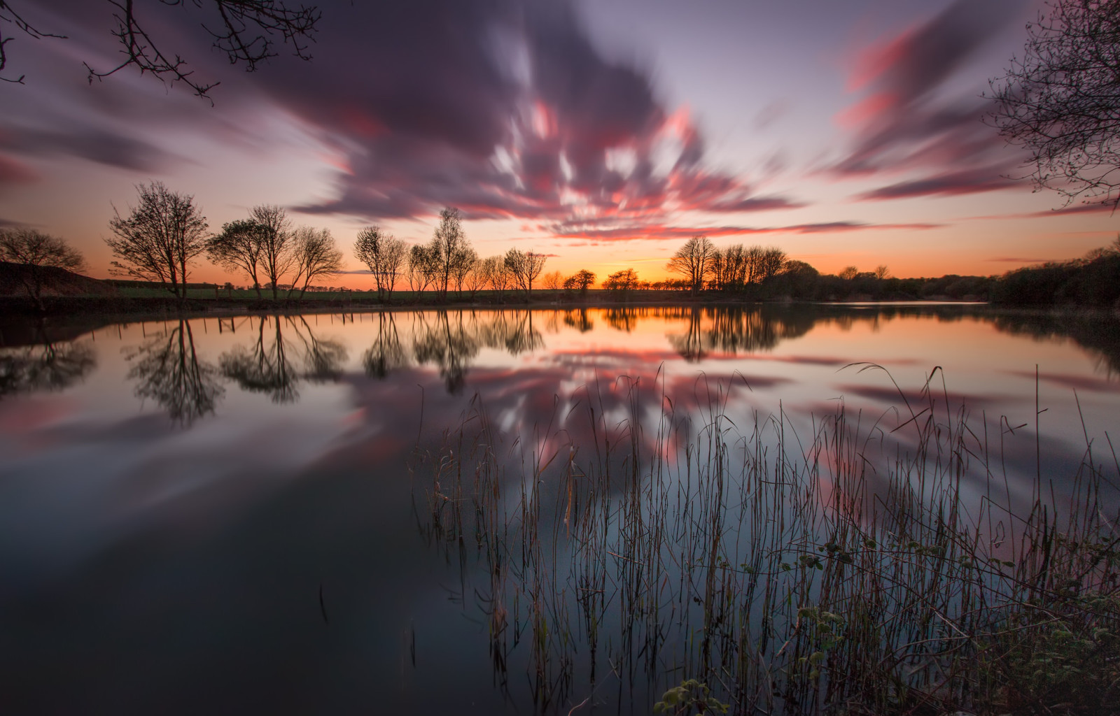 de lucht, de avond, meer, bomen, wolken, gloed