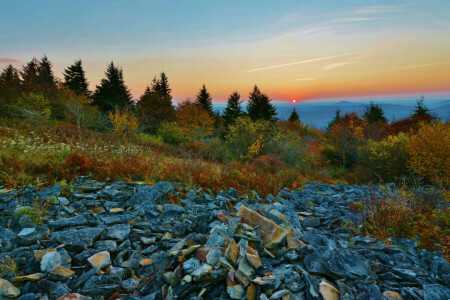 mountains, stones, trees