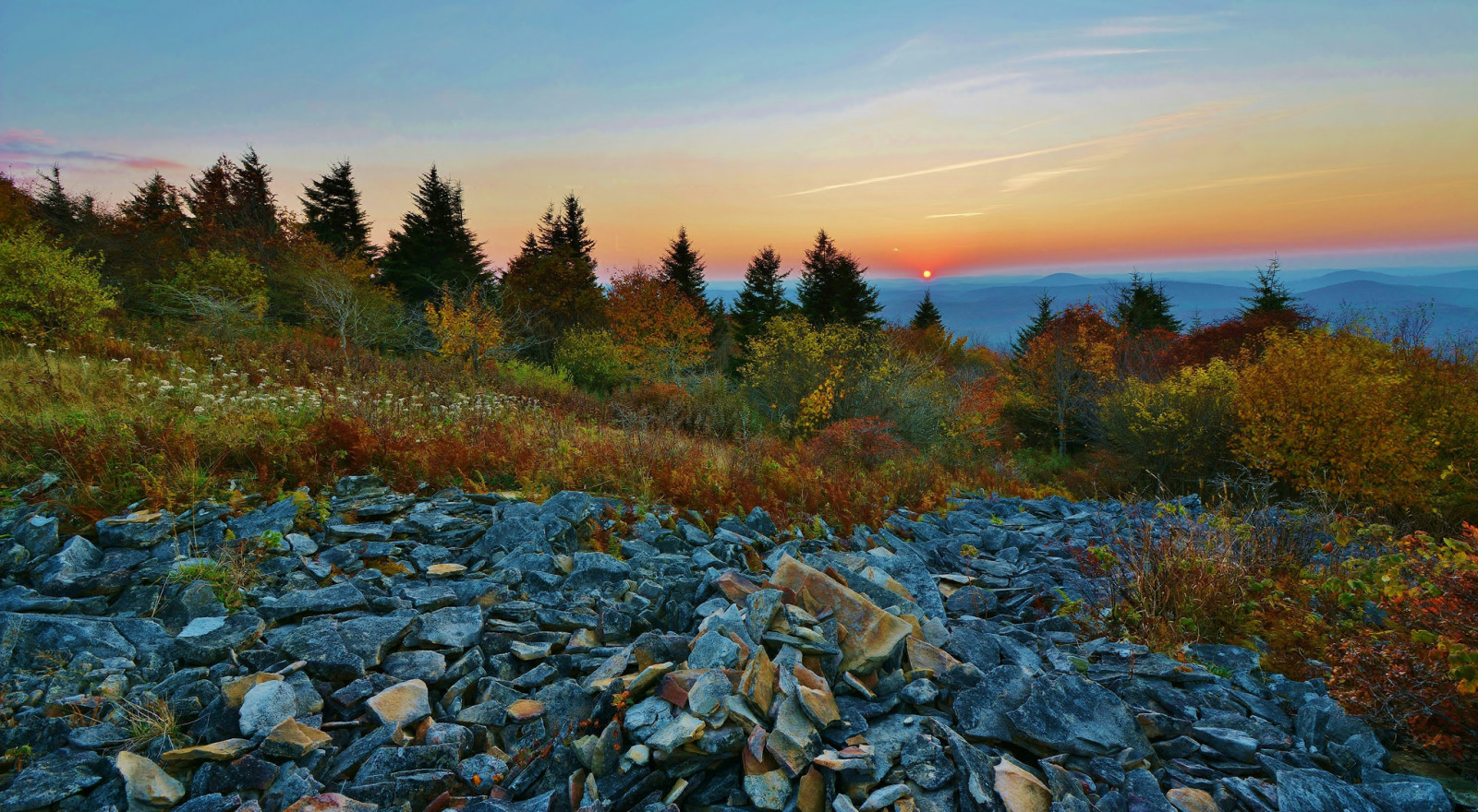 stones, trees, mountains