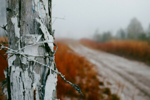 achtergrond, post, weg