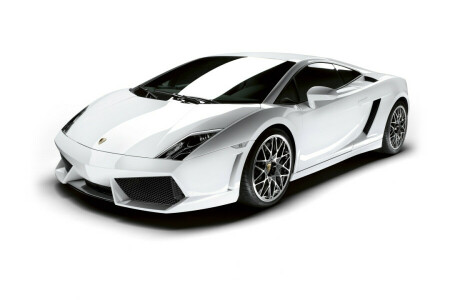 Gallardo, Lamborghini, hvid baggrund