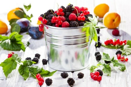 apricots, berries, BlackBerry, bucket, currants, fruit, fruits, plum