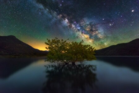 lake, mountains, night, stars, the milky way, the sky, tree