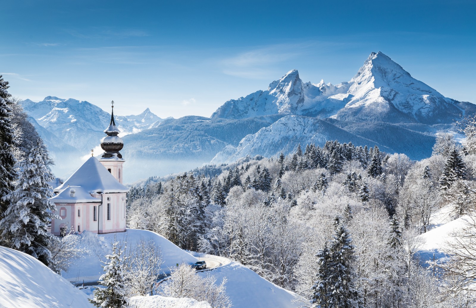 neve, i fiocchi di neve, albero, foresta, natura, inverno