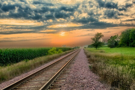 paesaggio, Ferrovia, tramonto